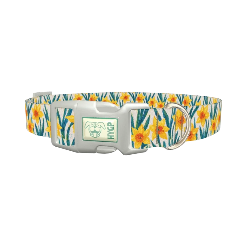 Yellow Daffodil Dog Collar - plastic silver