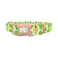 Green Apple Dog Collar - plastic rose gold
