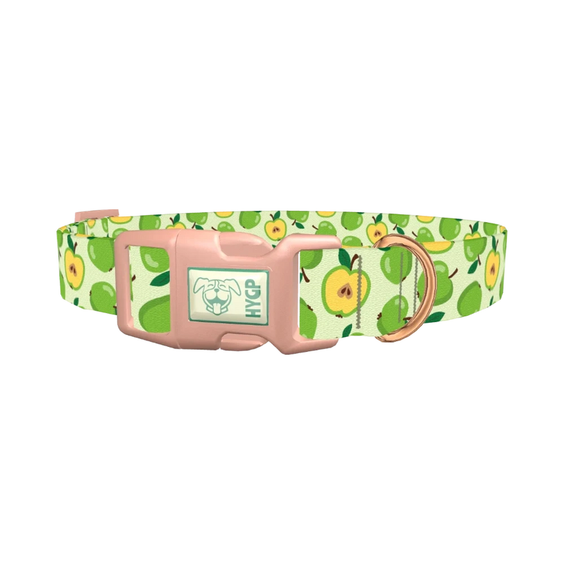 Green Apple Dog Collar - plastic rose gold