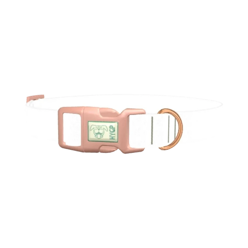 Colorful Splatter Dog Collar - plastic rose gold