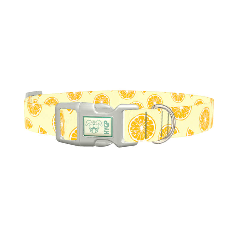 Yellow Citrus Slice Dog Collar - plastic silver