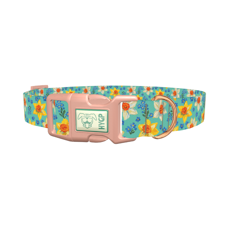 Floral Narcissus Dog Collar - plastic rose gold