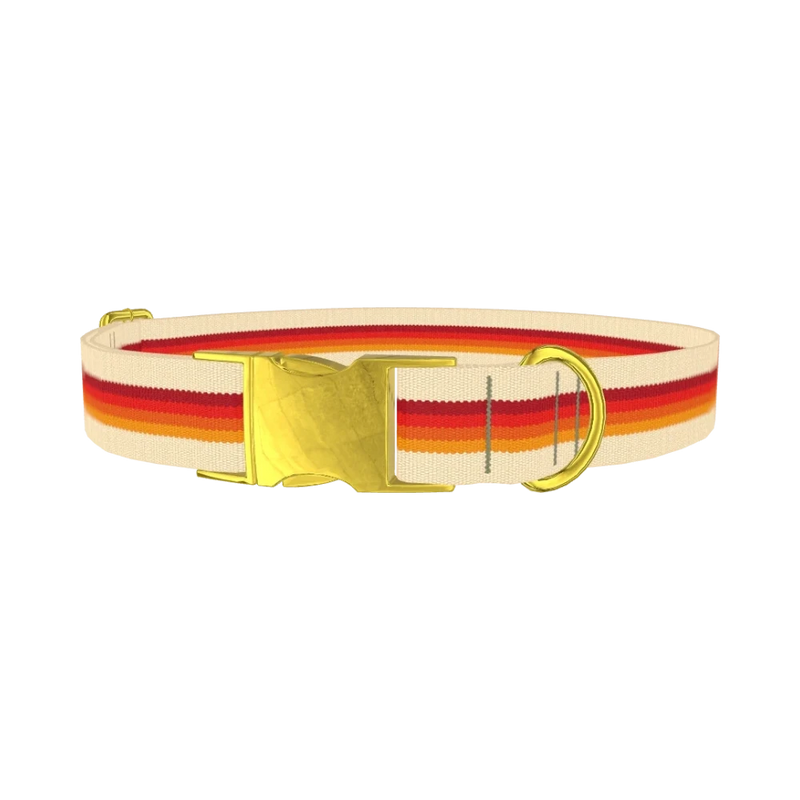 Retro Hexagon Stripe Dog Collar - metal gold