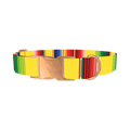 Yellow Mexican Stripe Dog Collar - metal rose gold