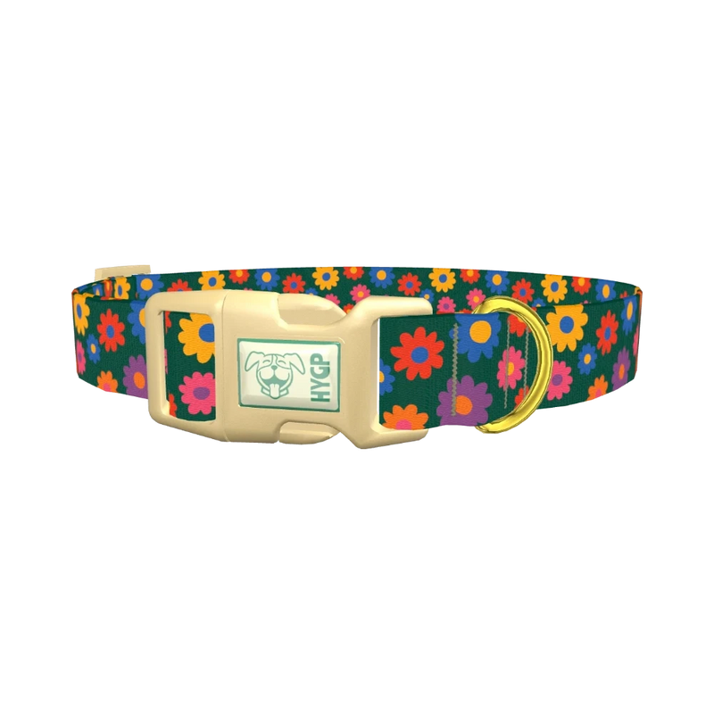 Floral Pattern Dog Collar - plastic gold
