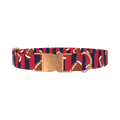 Patriotic Football Dog Collar - metal rose gold