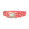 Watercolor Heart Dog Collar - plastic rose gold