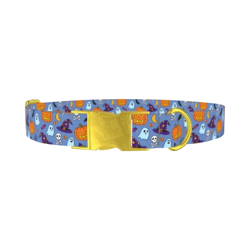Blue Halloween Witch Hat Dog Collar - metal gold