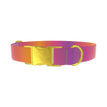 Gradient Pattern Dog Collar - metal gold
