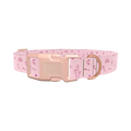Desert Cactus Dog Collar - plastic silver