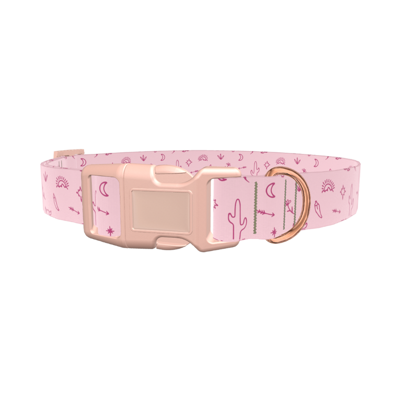 Desert Cactus Dog Collar - plastic silver