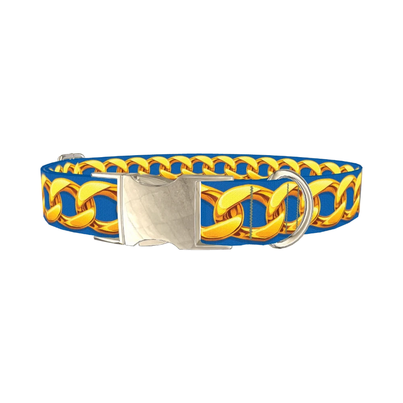 Gold Chain Blue Dog Collar - metal silver