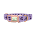 Mystical Star Dog Collar - plastic rose gold
