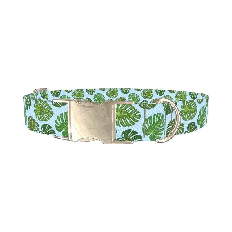 Blue Monstera Leaf Dog Collar - metal silver