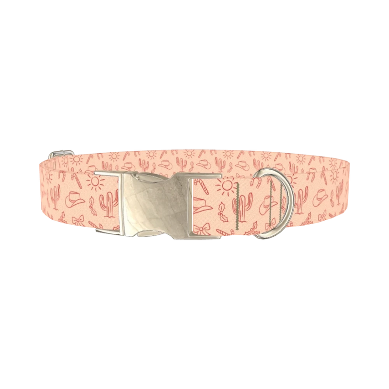 Holiday Western Cactus Dog Collar - metal silver