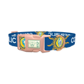 Conch Republic Star Dog Collar - plastic rose gold