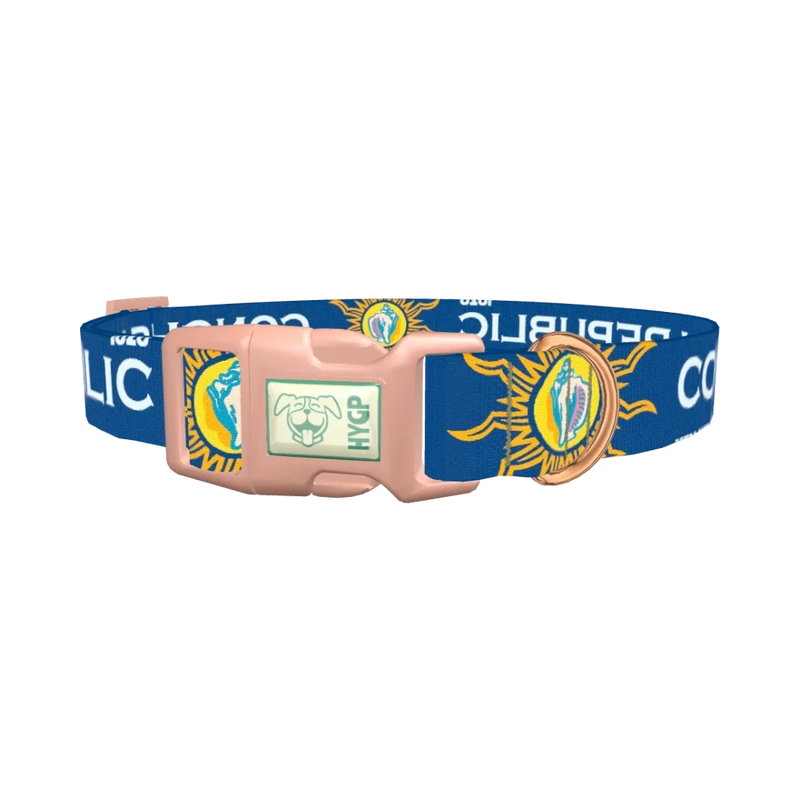 Conch Republic Star Dog Collar - plastic rose gold