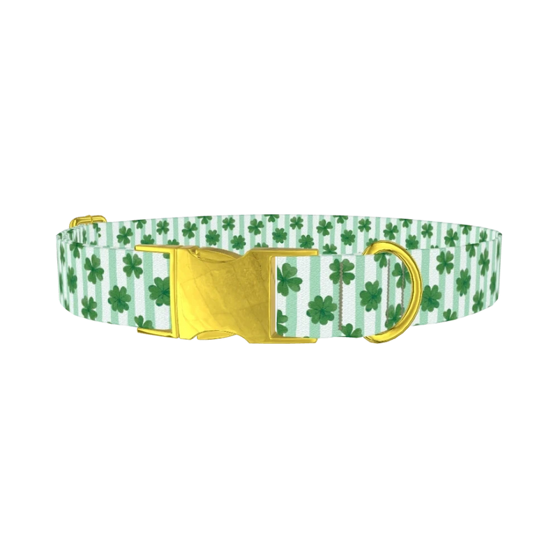 Clover Stripes Dog Collar - metal gold