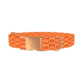 Halloween Jack-O'-Lantern Dog Collar - metal rose gold