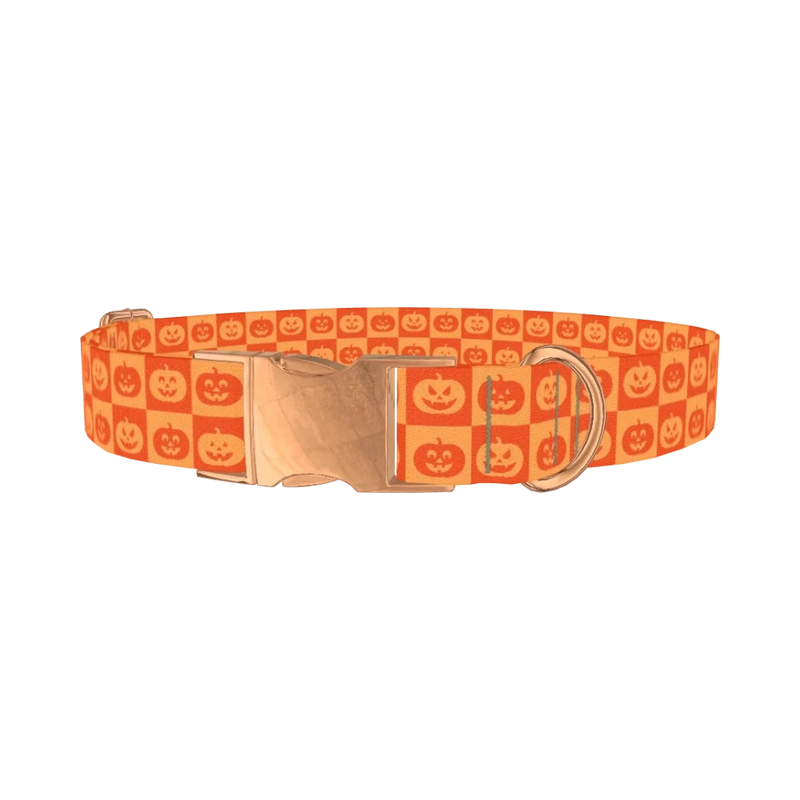 Halloween Jack-O'-Lantern Dog Collar - metal rose gold