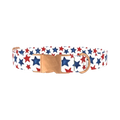 Red Blue Star Pattern Dog Collar - metal rose gold