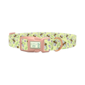Floral Bee Dog Collar - plastic rose gold