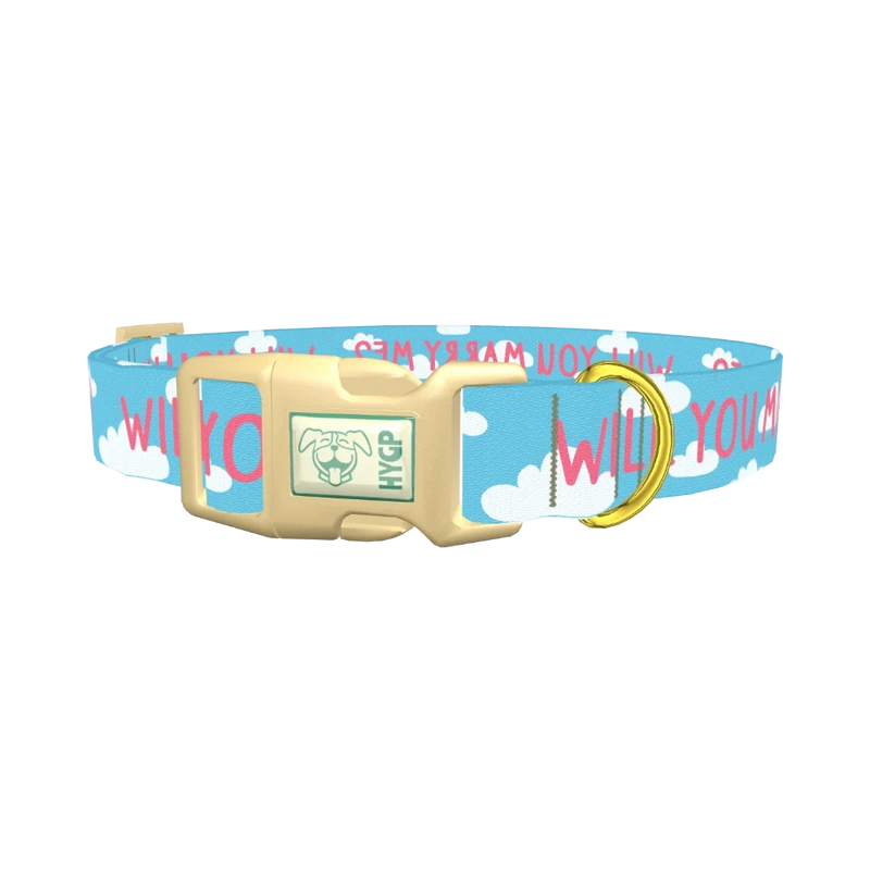 Cloud Phrase Dog Collar - plastic gold