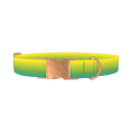 Gradient Dog Collar - metal rose gold