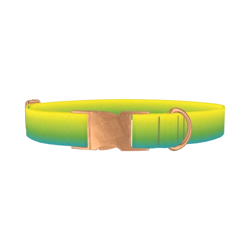 Gradient Dog Collar - metal rose gold