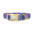 Tie-Dye Spiral Dog Collar - plastic gold