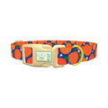 Orange Fruit Dog Collar - plastic gold