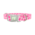 Pink Peace Sign Dog Collar - plastic rose gold