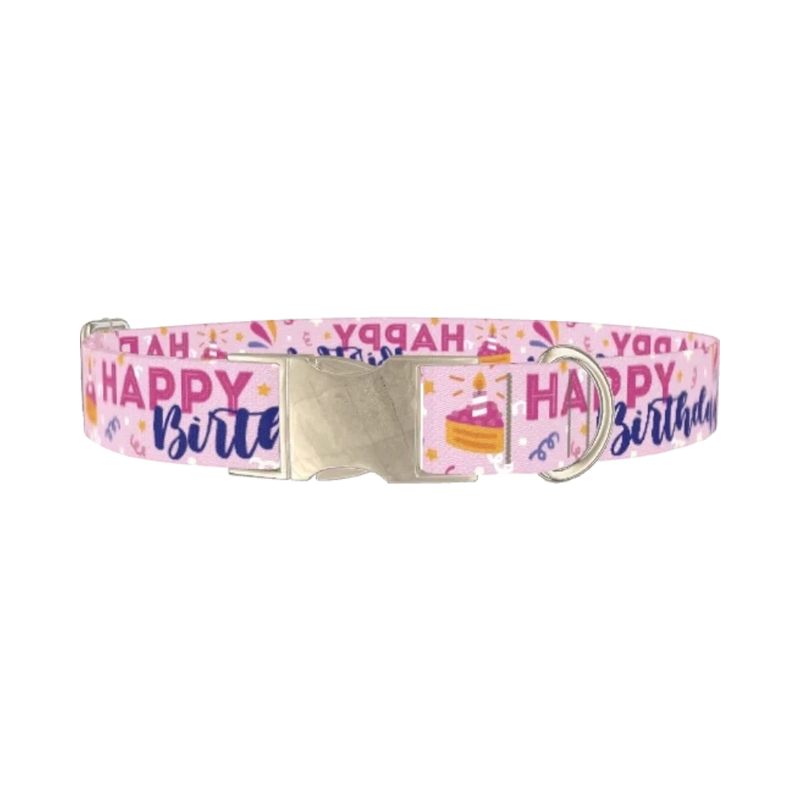 Birthday Cake Celebration Dog Collar - metal silver
