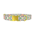 Tie Dye Pattern Dog Collar - metal gold
