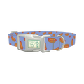 Blue Hotdog Print Dog Collar - plastic silver