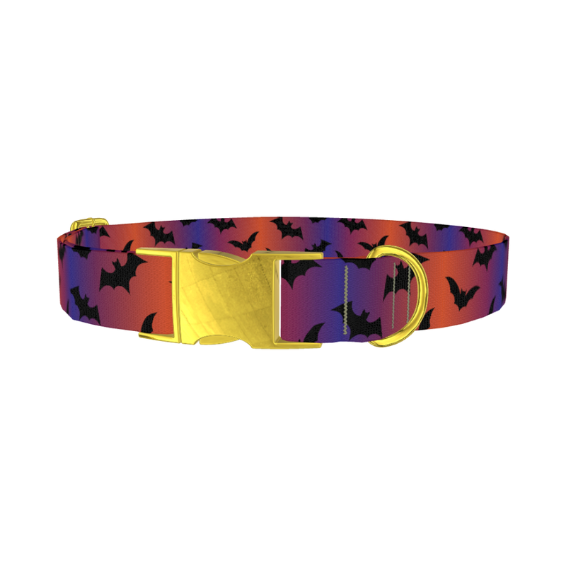 Halloween Bat Dog Collar - metal gold