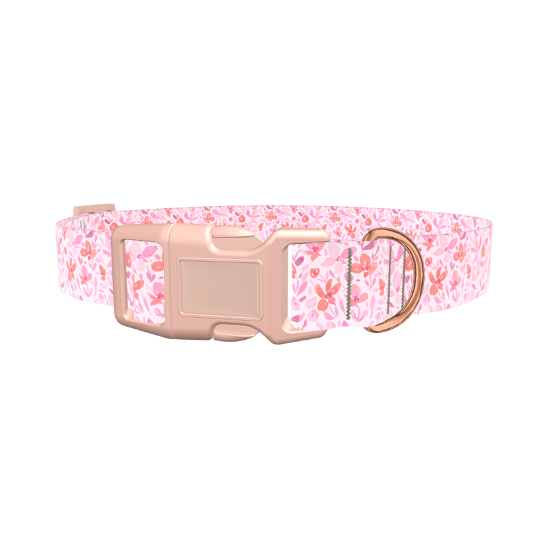 Floral Watercolor Dog Collar - plastic silver