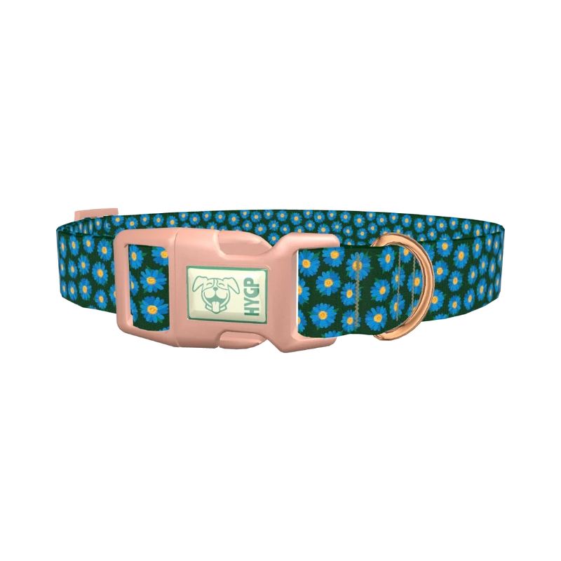 Blue Daisy Floral Dog Collar - plastic rose gold