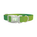 Green Gradient Dog Collar - plastic silver