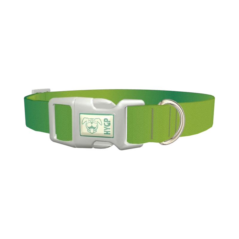 Green Gradient Dog Collar - plastic silver