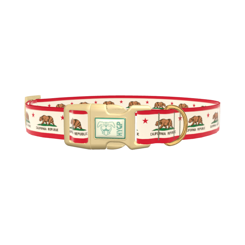 California Republic Flag Dog Collar - plastic silver