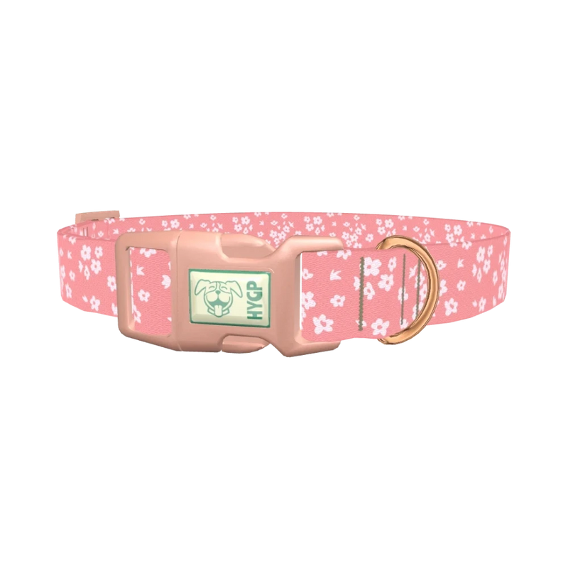 Floral Blossom Dog Collar - plastic rose gold