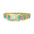 Bright Easter Egg Dog Collar - plastic gold