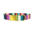 Color Stripe Dog Collar - metal gold