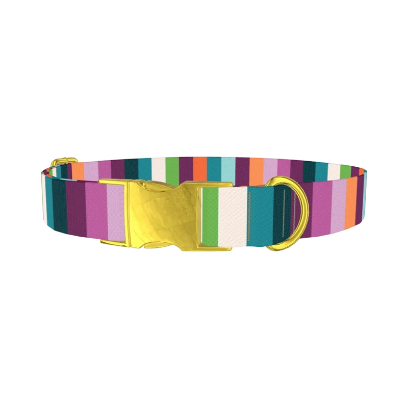 Color Stripe Dog Collar - metal gold