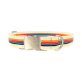 Colorful Stripe Hexagon Dog Collar - metal gold