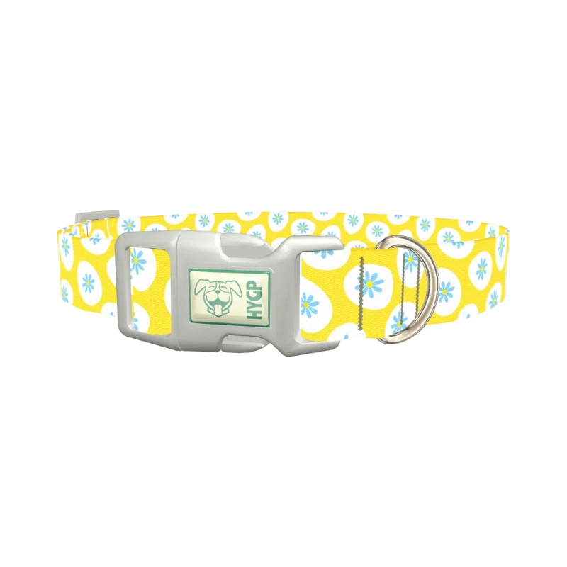 Easter Egg Floral Dog Collar - plastic silver