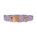 Halloween Witchy Mirror Dog Collar - metal rose gold