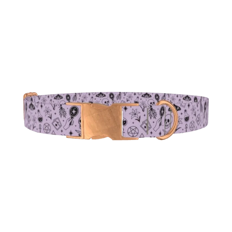 Halloween Witchy Mirror Dog Collar - metal rose gold