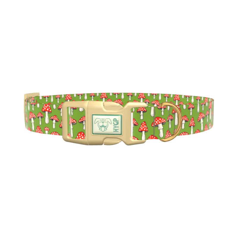 Fly Agaric Mushroom Dog Collar - plastic silver